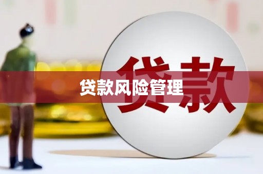 泌阳贷款风险管理