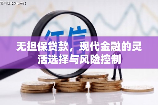 泌阳无担保贷款，现代金融的灵活选择与风险控制