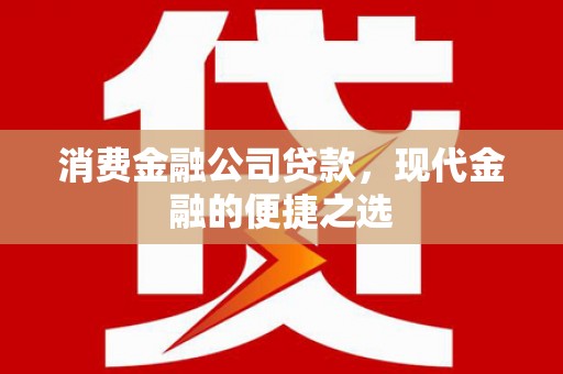 泌阳消费金融公司贷款，现代金融的便捷之选