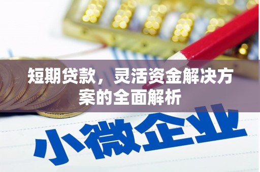 泌阳短期贷款，灵活资金解决方案的全面解析