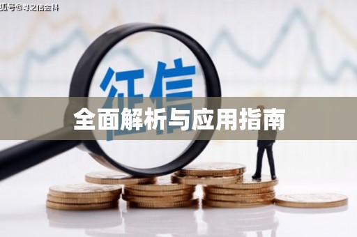 泌阳全面解析与应用指南