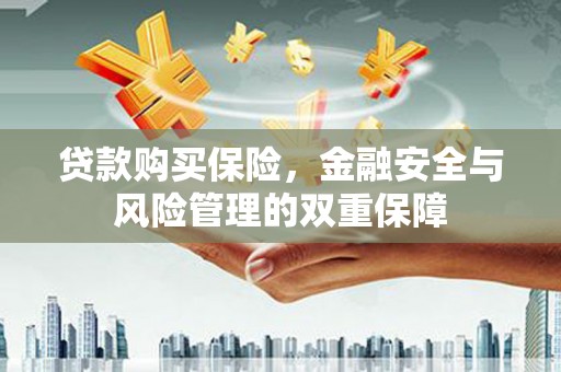 泌阳贷款购买保险，金融安全与风险管理的双重保障