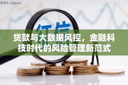 泌阳贷款与大数据风控，金融科技时代的风险管理新范式