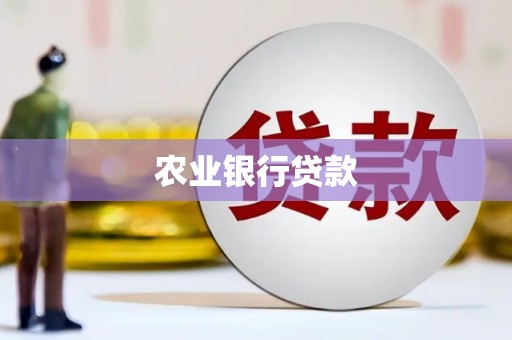 泌阳农业银行贷款