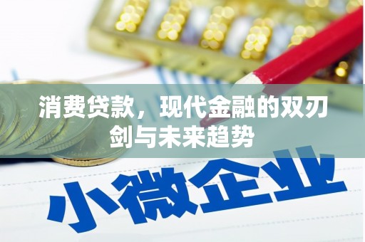 泌阳消费贷款，现代金融的双刃剑与未来趋势