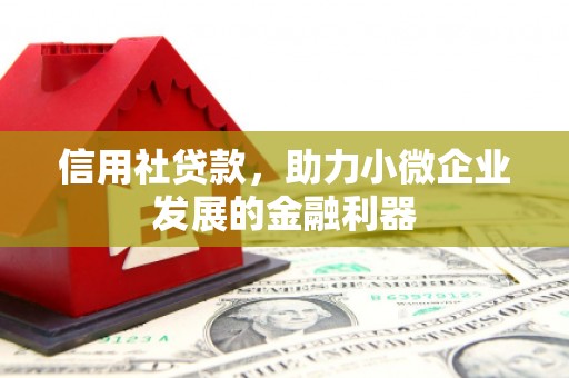 泌阳信用社贷款，助力小微企业发展的金融利器