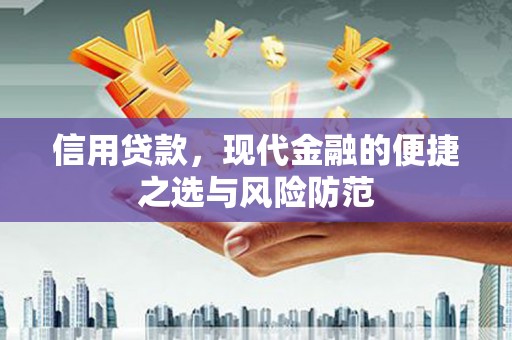 泌阳信用贷款，现代金融的便捷之选与风险防范