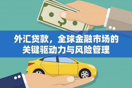泌阳外汇贷款，全球金融市场的关键驱动力与风险管理