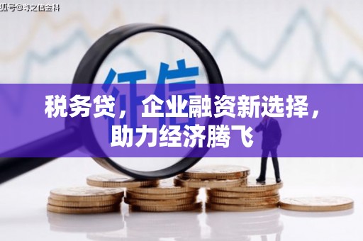 泌阳税务贷，企业融资新选择，助力经济腾飞