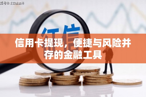 泌阳信用卡提现，便捷与风险并存的金融工具