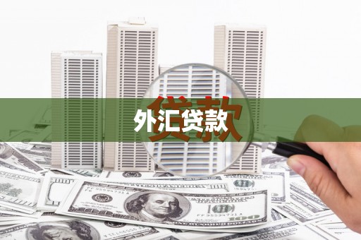 泌阳外汇贷款