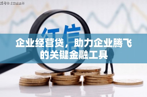 泌阳企业经营贷，助力企业腾飞的关键金融工具