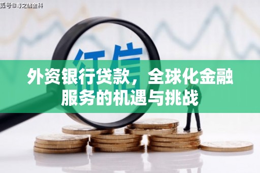 泌阳外资银行贷款，全球化金融服务的机遇与挑战