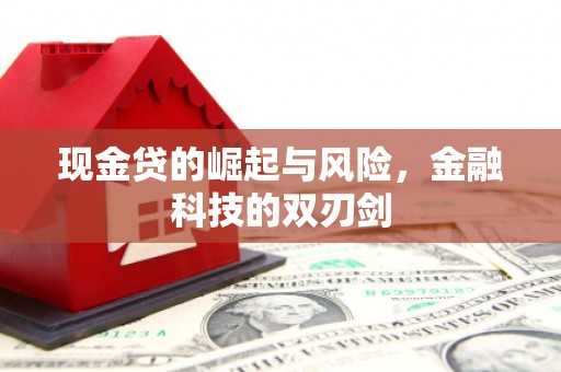泌阳现金贷的崛起与风险，金融科技的双刃剑