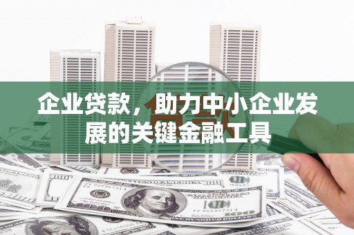 泌阳企业贷款，助力中小企业发展的关键金融工具