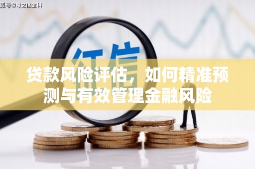 泌阳贷款风险评估，如何精准预测与有效管理金融风险