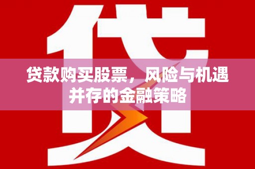泌阳贷款购买股票，风险与机遇并存的金融策略