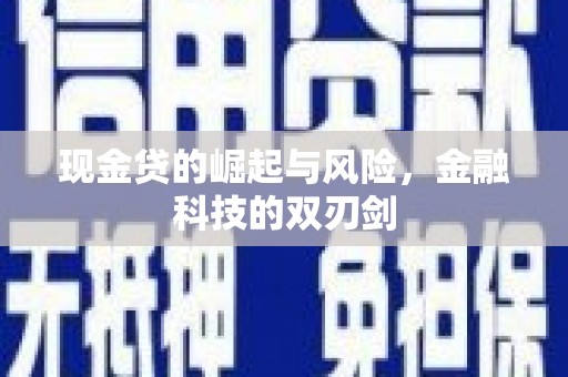 泌阳现金贷的崛起与风险，金融科技的双刃剑