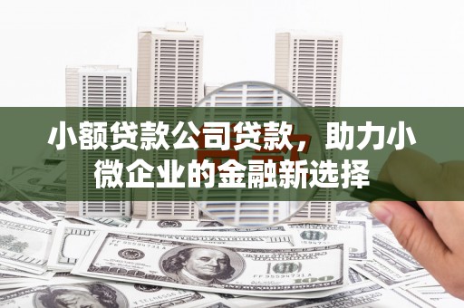 泌阳小额贷款公司贷款，助力小微企业的金融新选择