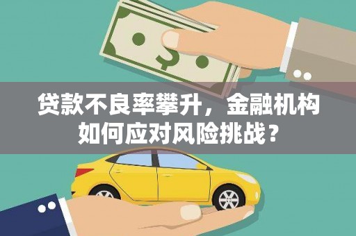 泌阳贷款不良率攀升，金融机构如何应对风险挑战？