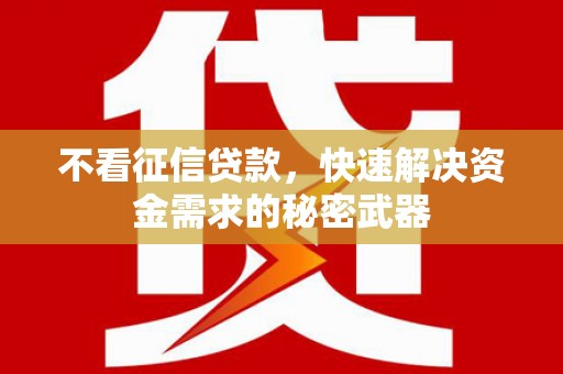 泌阳不看征信贷款，快速解决资金需求的秘密武器