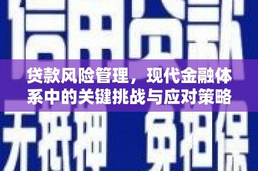 泌阳贷款风险管理，现代金融体系中的关键挑战与应对策略