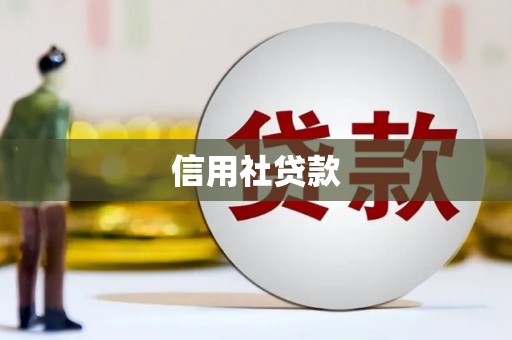泌阳信用社贷款