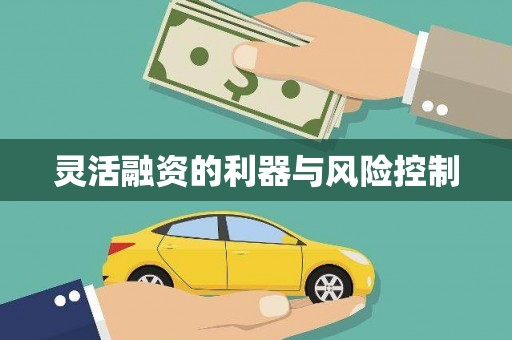 泌阳灵活融资的利器与风险控制