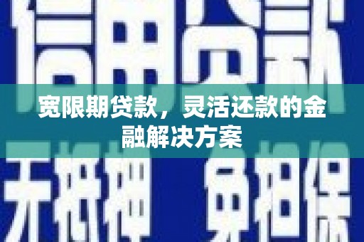 泌阳宽限期贷款，灵活还款的金融解决方案