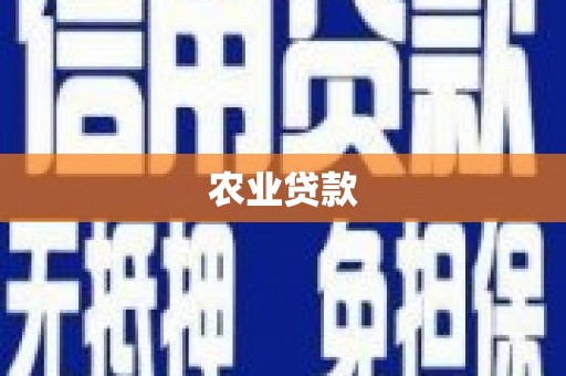泌阳农业贷款