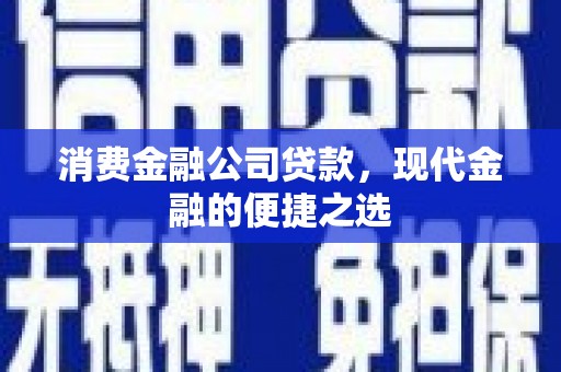 泌阳消费金融公司贷款，现代金融的便捷之选