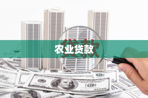 泌阳农业贷款