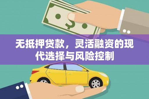 泌阳无抵押贷款，灵活融资的现代选择与风险控制