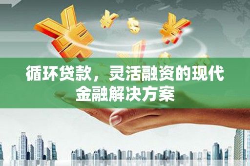 泌阳循环贷款，灵活融资的现代金融解决方案