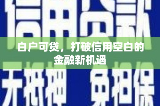 泌阳白户可贷，打破信用空白的金融新机遇