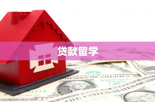 泌阳贷款留学