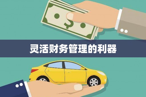 泌阳灵活财务管理的利器