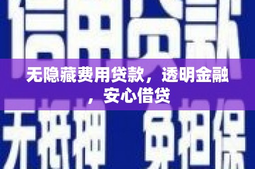 泌阳无隐藏费用贷款，透明金融，安心借贷