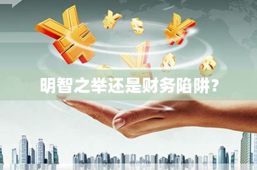 泌阳明智之举还是财务陷阱？