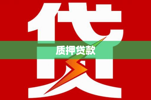 泌阳质押贷款