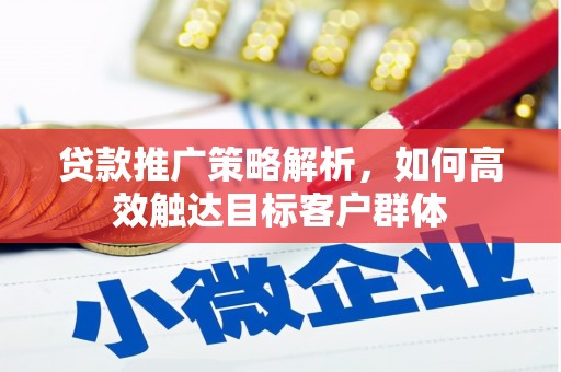 泌阳贷款推广策略解析，如何高效触达目标客户群体
