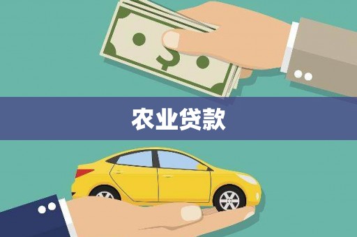 泌阳农业贷款