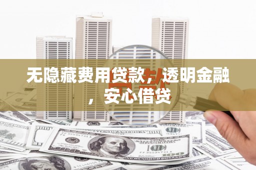 泌阳无隐藏费用贷款，透明金融，安心借贷