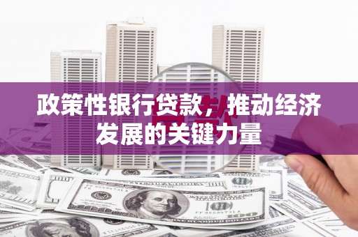 泌阳政策性银行贷款，推动经济发展的关键力量