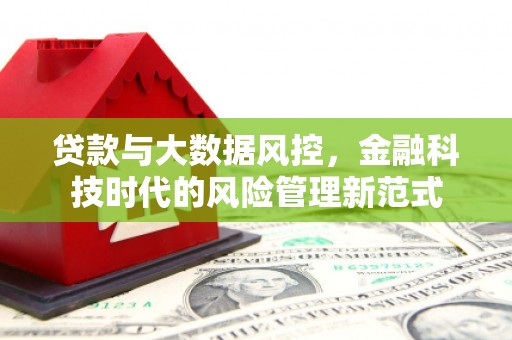 泌阳贷款与大数据风控，金融科技时代的风险管理新范式