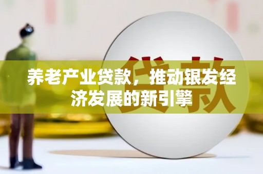 泌阳养老产业贷款，推动银发经济发展的新引擎