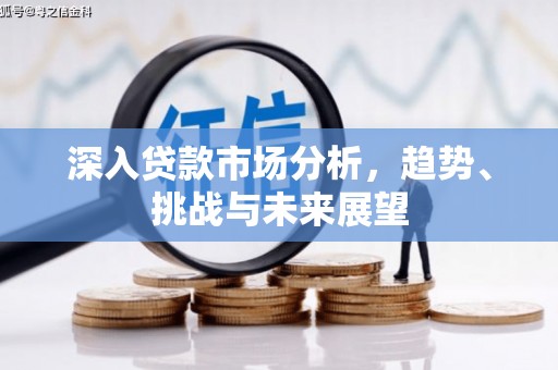 泌阳深入贷款市场分析，趋势、挑战与未来展望