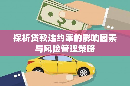 泌阳探析贷款违约率的影响因素与风险管理策略