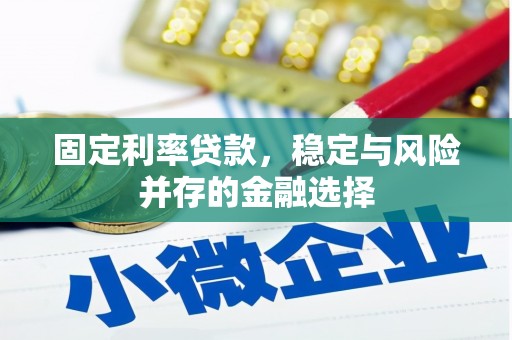 泌阳固定利率贷款，稳定与风险并存的金融选择