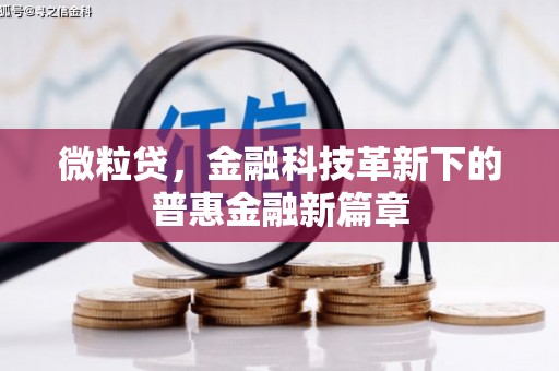 泌阳微粒贷，金融科技革新下的普惠金融新篇章
